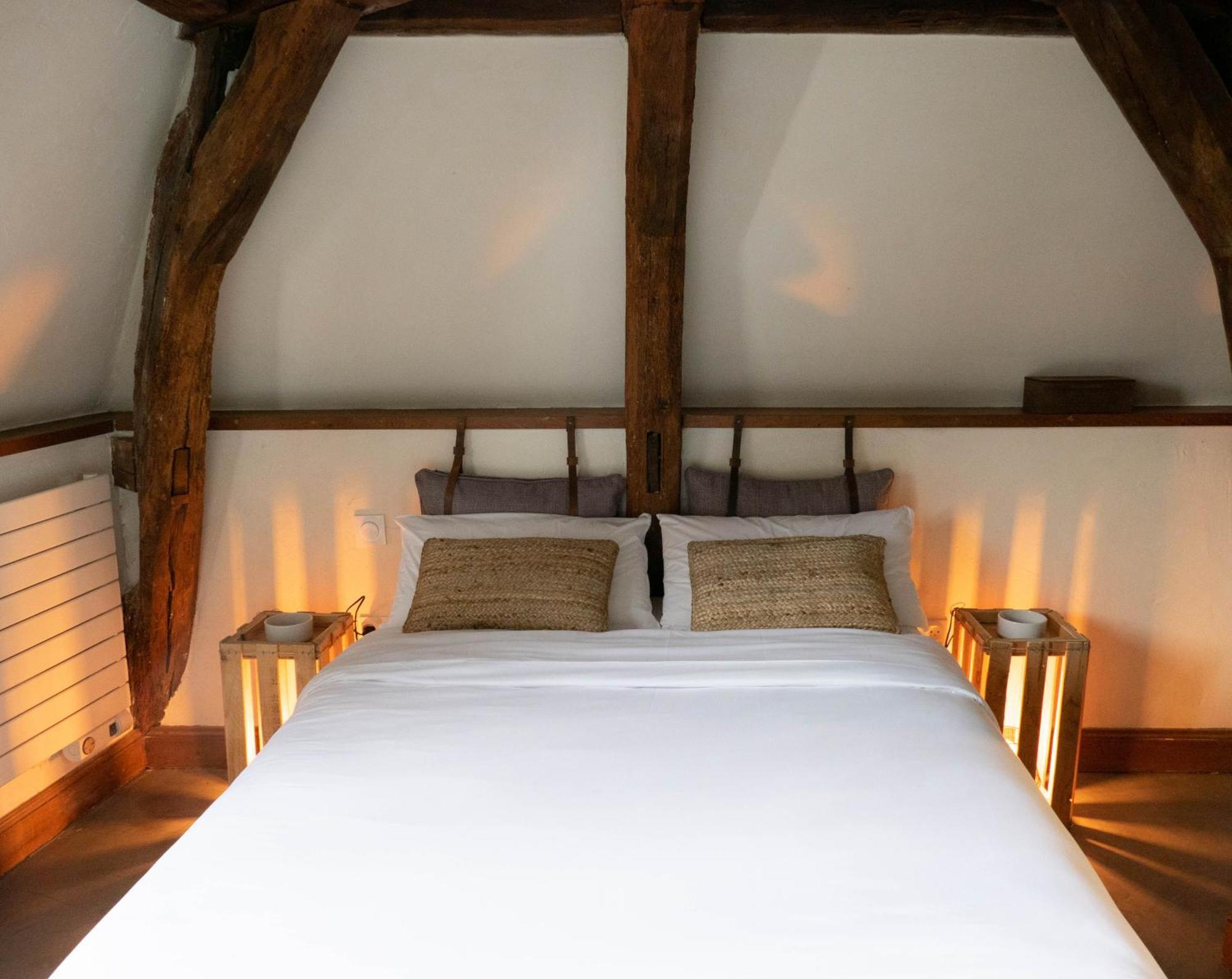 Suite Toussaint - Calme & Authentique Angers Exteriör bild