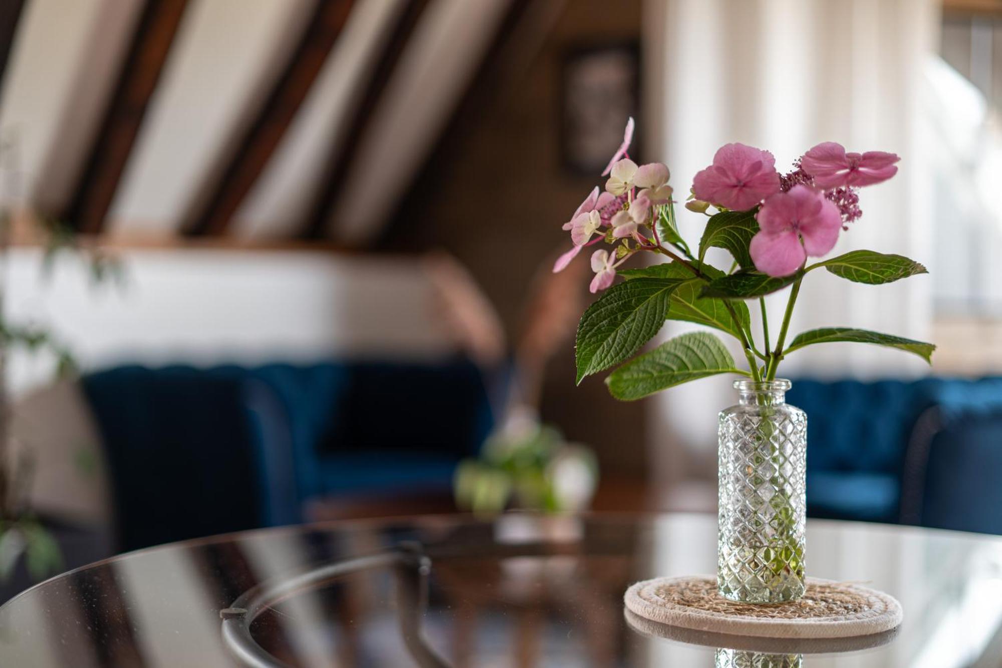 Suite Toussaint - Calme & Authentique Angers Exteriör bild